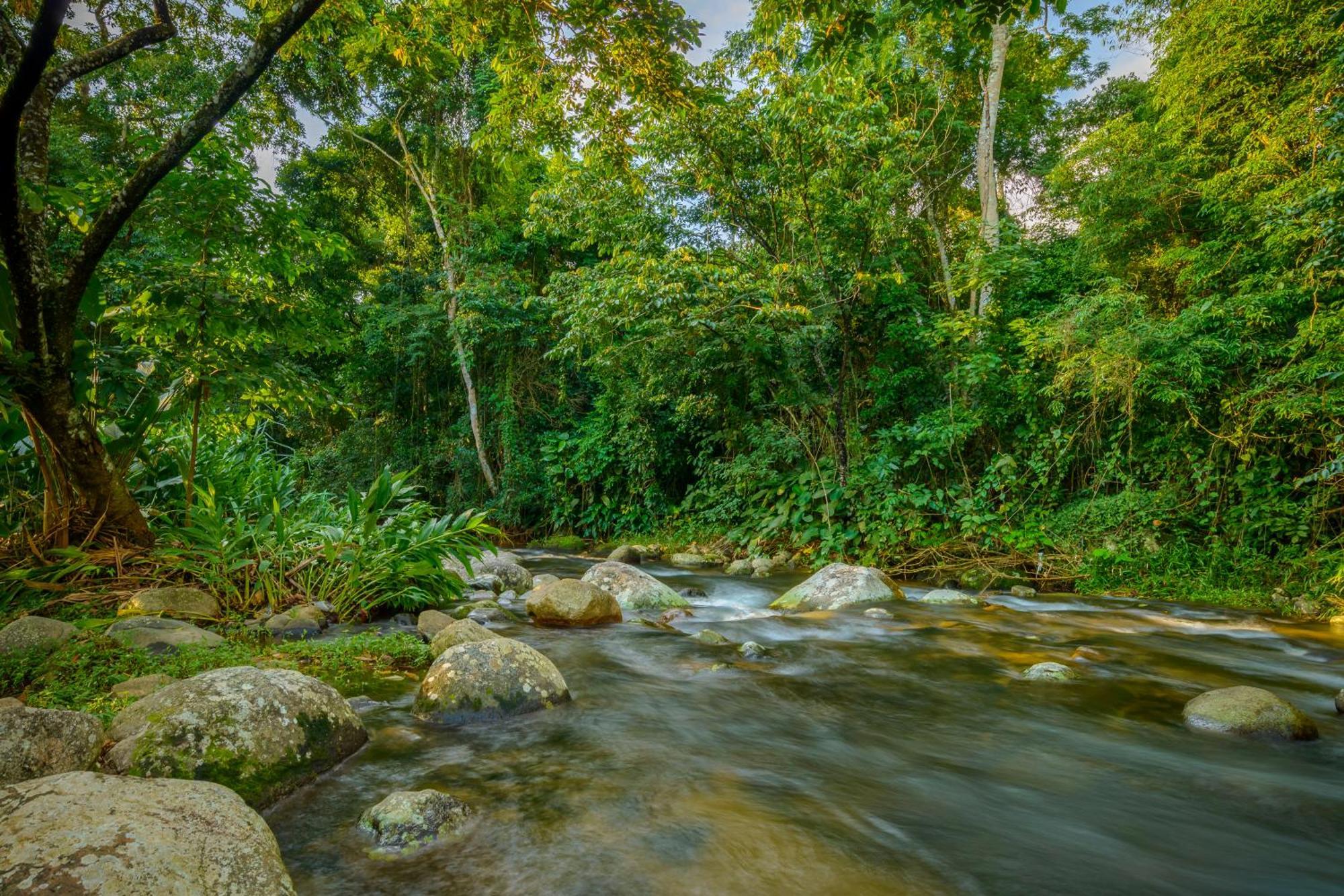 Velinn Pousada Bromelias Ilhabela Buitenkant foto
